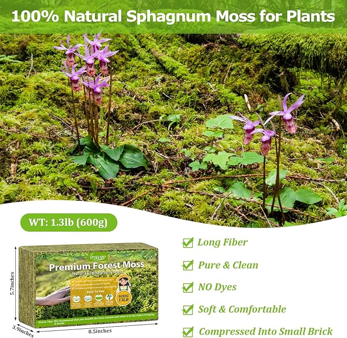 Legigo 1.3LBS Sphagnum Moss for Plants, 25QT Natural Orchid Moss Potting Mix Dried, Green Forest Plant Moss for Orchid Repotting Carnivorous Succulents Indoor Potted Plants Gardening and Reptiles