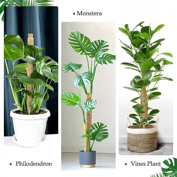 Moss Pole,28'' Moss Pole Monstera Plant Support. (2×28 Inch)