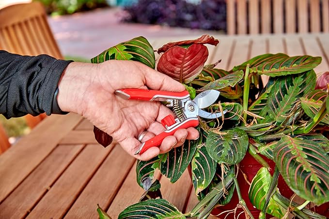 Corona Tools BP13624 Yard Essentials Houseplant Pruners, Variety Pack of 12