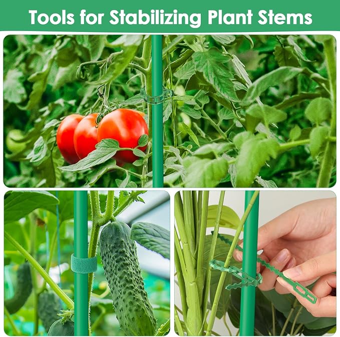 3 Pack Tomato Cages for Garden, Square Tomato Trellis with Grow Bags, 49 IN Tall Heavy Duty Tomato Plant Stakes Support Cages Trellis for Raised Beds Pots Garden Climbing Vegetables Flowers Fruits