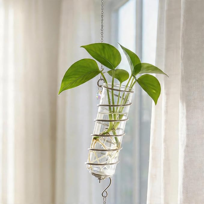 H&D HYALINE & DORA 6 Pcs Hanging Glass Propagation Stations with Crystal Suncatchers Glass Wall Planters for Indoor Plants Hydroponics Mini Test Tube Flower Vase with Metal Chain for Home Decor