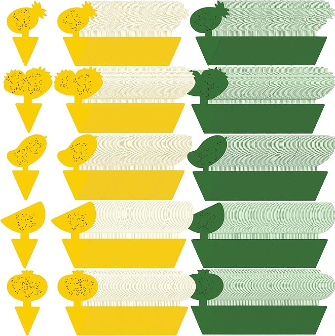 Qualirey 200 Sheets Fruit Fly Sticky Traps for Fruit Fly Gnat Trap for House Indoors Sticky Traps Catcher for Gnats Fungus Gnats Mosquito Catcher Kitchen Outdoor Plants (Fresh Style, Yellow, Green)
