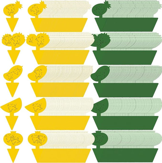 Qualirey 200 Sheets Fruit Fly Sticky Traps for Fruit Fly Gnat Trap for House Indoors Sticky Traps Catcher for Gnats Fungus Gnats Mosquito Catcher Kitchen Outdoor Plants (Fresh Style, Yellow, Green)