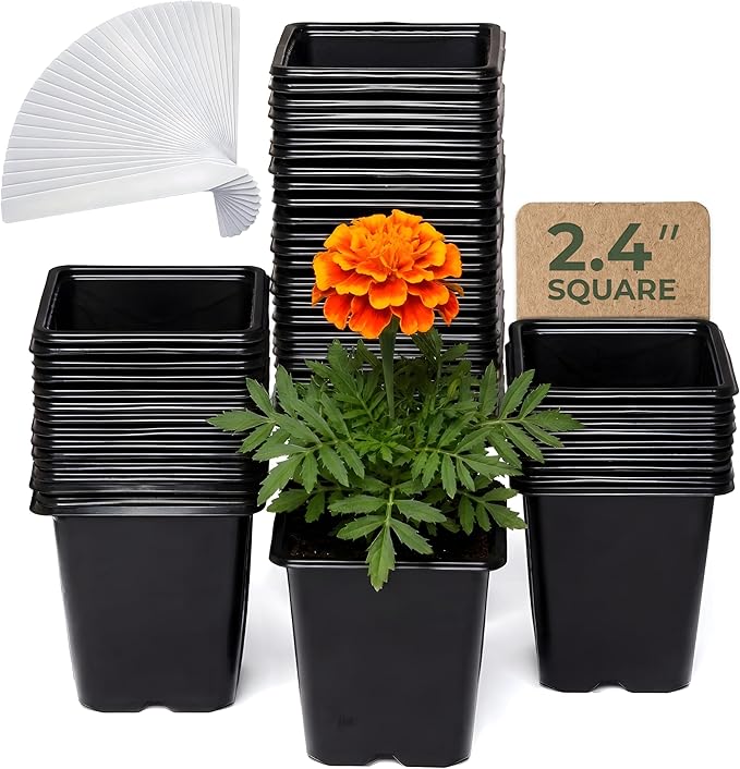 CARPATHEN 64Pack Square Nursery Pots - 2.4 Inch Plastic Seedling Pots with Drainage Holes - Reusable Seed Starter Pots for Plants, Succulent, Flowers, Vegetables - Plant Starter Pots and Sticker Label