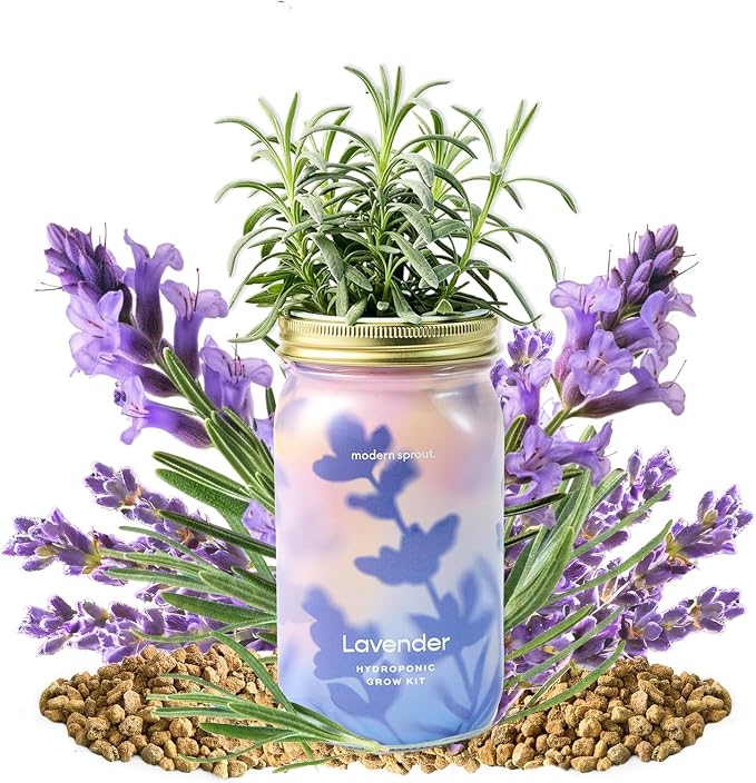 Modern Sprout Mason Garden Jar -Self-Watering Hydroponics Growing System Kit, Organic Herb Seeds-Sprouting Jar Planter for Indoor Herb Garden -Seed Starter Kit -Gift for Mother's Day-Lavender+Rosemary
