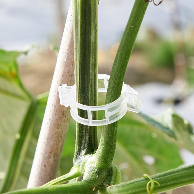 CIQIYO® 300 Pcs Plant Support Clips,Plastic Clips for Securing Plants,Tomato Vine Clips,Plant Fixing Clips,Garden Clips for Climbing Plants,Grape and Vine Vegetables (300, White)
