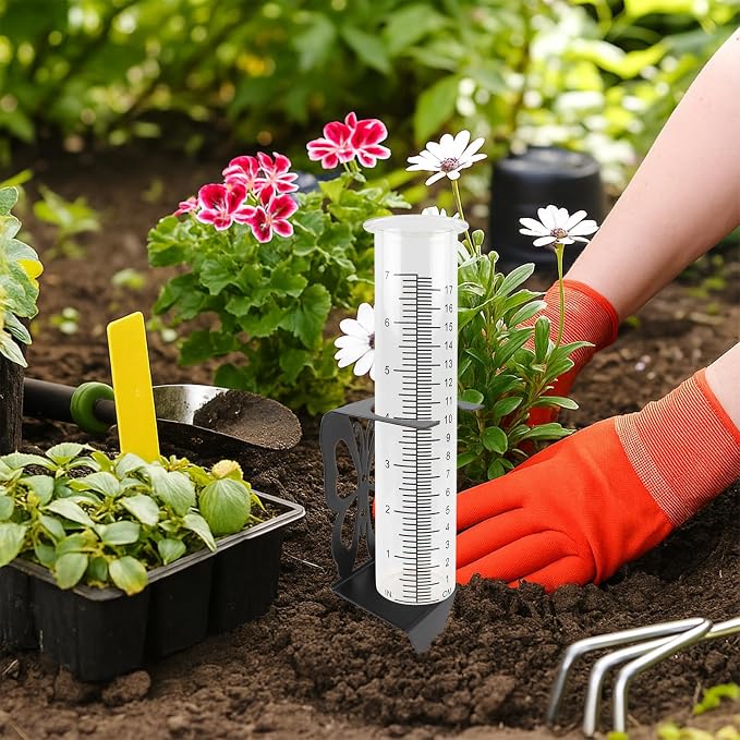 TBWHL 7" Capacity Rain Gauge Replacement Tube Glass with Stainless Steel Butterfly Shape Rack Holder, Decorative rain Measure Gauge for Yard Garden Fence Lawn Farm