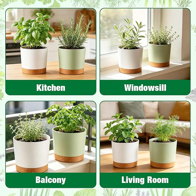 8 Herb Garden Kit - Indoor Herbs Seeds Growing Kit Gardening Gift Birthday Housewarming Christmas Gift for Women Her Men Retirement, Complete Starter Set with Organic Seeds for Beginner