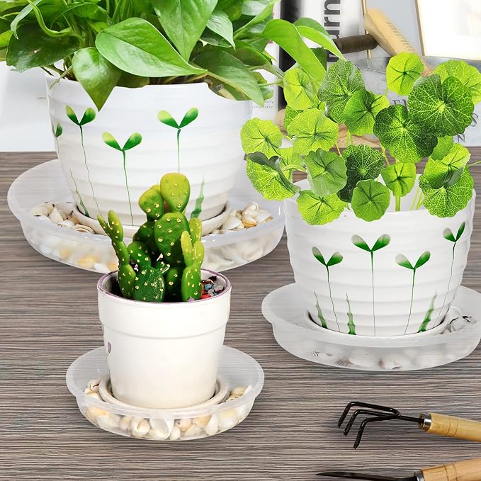 SupKing 6 Pack Plant Saucers Drip Tray,6 8 10 12 14 15 Inch Heavy Sturdy Plastic Flower Pot Saucers for Indoor,Clear Plastic Planter Water Tray for Plant Pots Liners (12''-Clear)