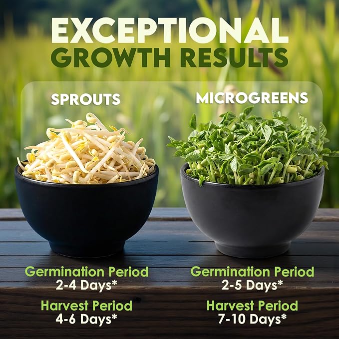 Nature Jims Sprouts Mung Bean Sprouting Seeds – Non-GMO Mung Beans for Growing Nutritious, Fresh Sprouts – Packed with Vitamins, Minerals & Fiber – Premium Resealable Bag for Longer Freshness – 16 Oz