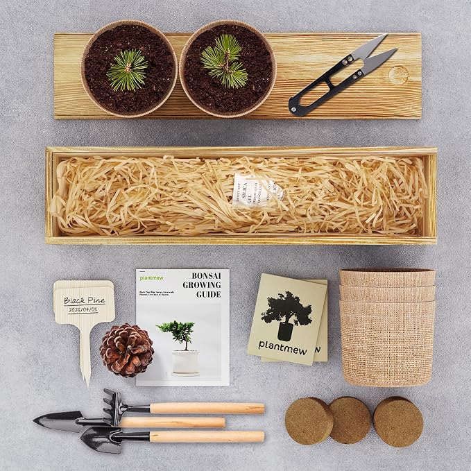 Bonsai Tree Kit for Beginners - 5 Unique Japanese Bonsai Seeds, DIY Indoor Gardening Crafts for Adults | Valentine's, Mother's Day & Birthday Gifts for Women and Men | Complete Starter Kit with Tools