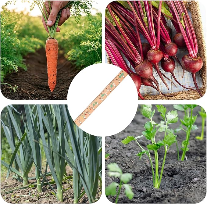 Spacer Tool Seeder Planting Ruler - Seeding Spacing Ruler with Precise Measurements,Seedlings Dibber Hand Transplanting Tools,for Vegetable Gardens, Yard