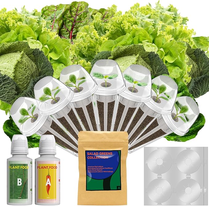 LYKOCLEAN Salad Buttercrunch Lettuce Seeds for AeroGarden, iDOO, Ahopegarden Hydroponics Growing System, 7-pods, 350+ Seeds (Include Spinach, American Fast Lettuce,Cabbage, Cauliflower)