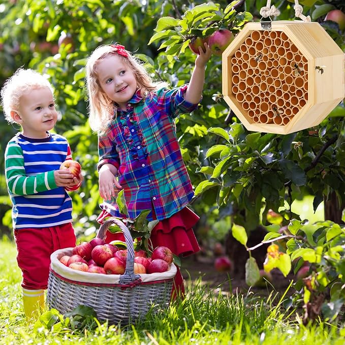 Mason Bee House - Handcrafted Natural Wooden Bee Hotel with Waterproof Wax Coating - Attracts Peaceful Pollinators, Enhances Garden Productivity