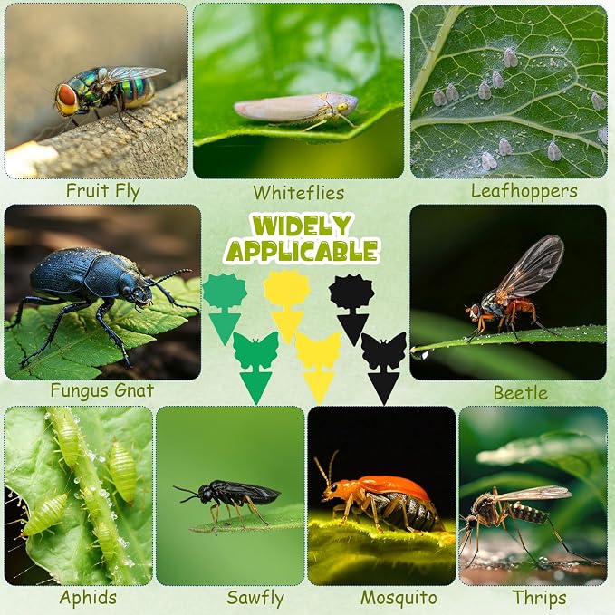 120 Pack Fruit Fly Traps Fungus Gnat Sticky Traps Yellow Black Green Plant Fly Stickers Double Side with Shovel for Indoor Outdoor Kitchen Garden Houseplant Flying Bug Insect (Mixed Style)