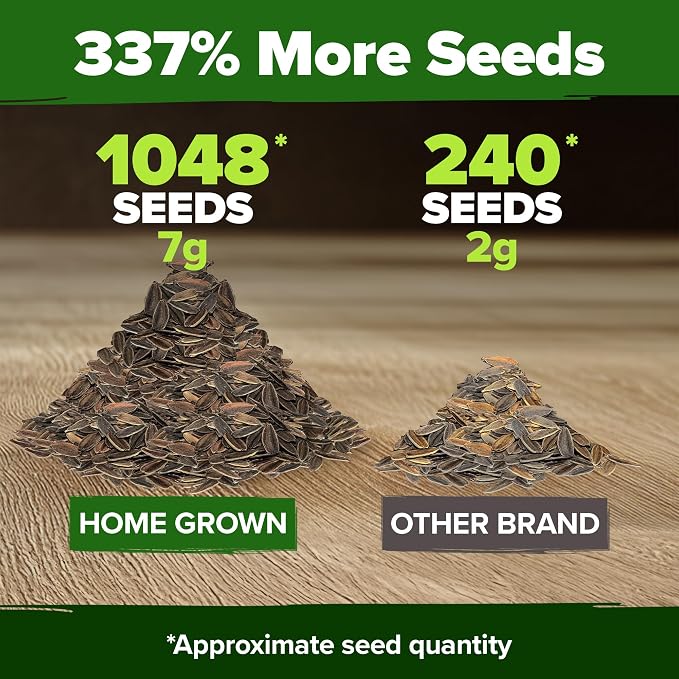 HOME GROWN USA Premium Zinnia Dahlia Seeds Pack for 2026,1048 Non-GMO Flower Seeds, Vibrant Zinnia Elegans for Planting Pollinator Gardens, Borders & Containers, Easy-to-Grow Outdoor Blooms