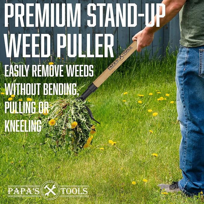 Papa's Tools One-Piece Weed Puller Tool, Stand Up Weeder with Heavy Duty Solid Bamboo Handle, Ultra-Durable 4-Claw Steel Head, 43.5” Fully Assembled Long Handle Weed Remover for Lawn & Garden
