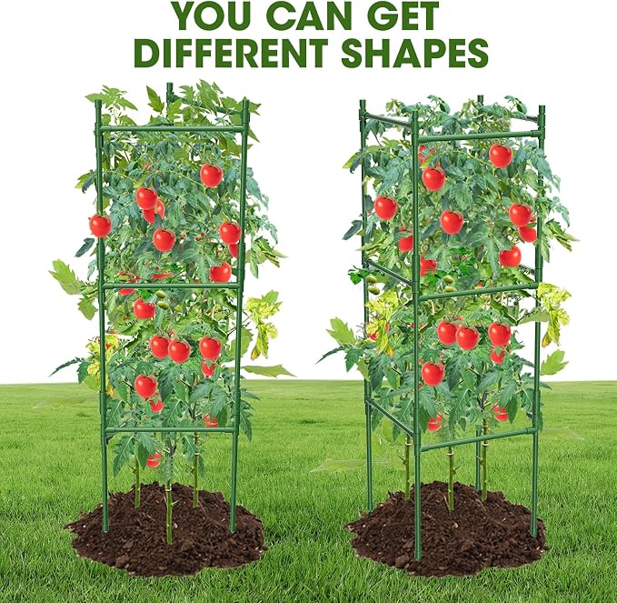 6 Pack Tomato Cage,Tomato Cage for Raised Garden Bed, 48'' Tall Tomato TrellisTriangle or Square Cages for Garden,Pots, Plant Cages & Supports（Green, Extra Bold ）