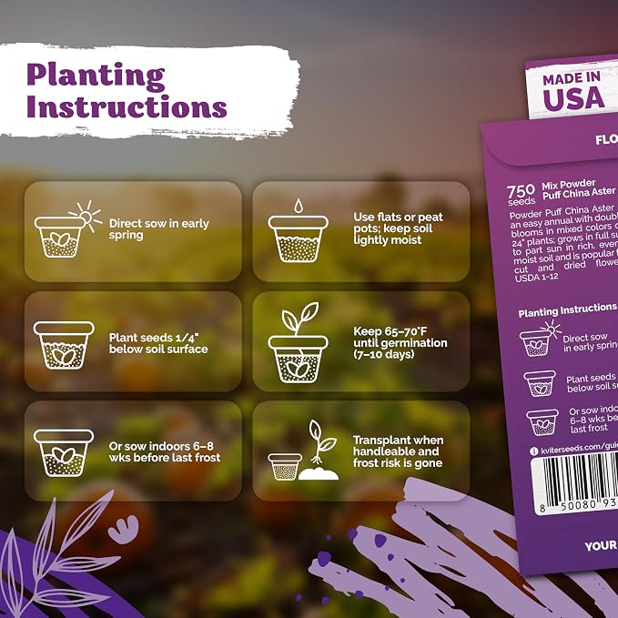KVITER 750 Mix Powder Puff China Aster Seeds (Callistephus Chinensis) - China Aster, Cut Flowers with Long Stems, Double Flower in Seed Packets - Annual Flower Seeds for Outdoor Garden & Borders