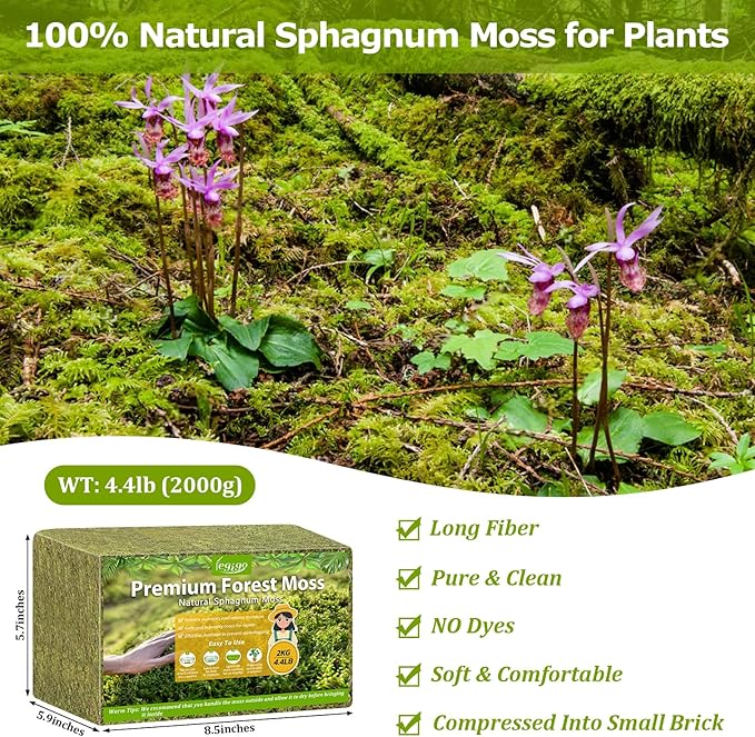 Legigo 4.4LBS Sphagnum Moss for Plants, 80QT Natural Orchid Moss Potting Mix Dried, Green Forest Plant Moss for Orchid Repotting Carnivorous Succulents Indoor Potted Plants Gardening and Reptiles