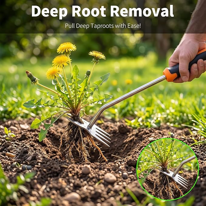 Hand Weeder Tool, Heavy Duty Stainless Steel Garden Weed Puller with 4-Tine & Root Removal Fork, Deep Root Weed Remover for Dandelion, Crabgrass & Thistle, Weeding Tool for Lawn Yard Farm (Orange)