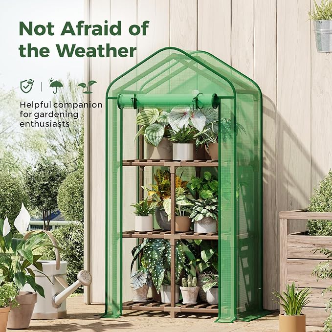 Bamworld Mini Greenhouse for Indoor Outdoor 22 x 16 x 66-Inch Small Plant Green Houses with 3-Tier Plant Shelves Portable with Green PE Cover for Garden and Backyards Ideal Gardening Gifts for Lovers