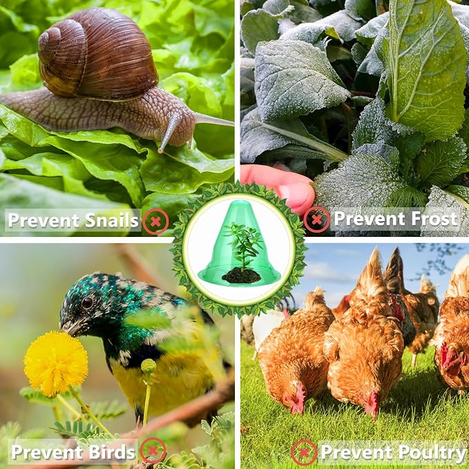 【30 Pieces】 Garden Cloches for Plants, Large Plant Covers Plant Protectors Transparent Bell Jar Cloches to Protect Plants from Birds, Slugs, Frost, Freeze Weather, 10.6" D x 9.5" H, Green (30PCS(Big))