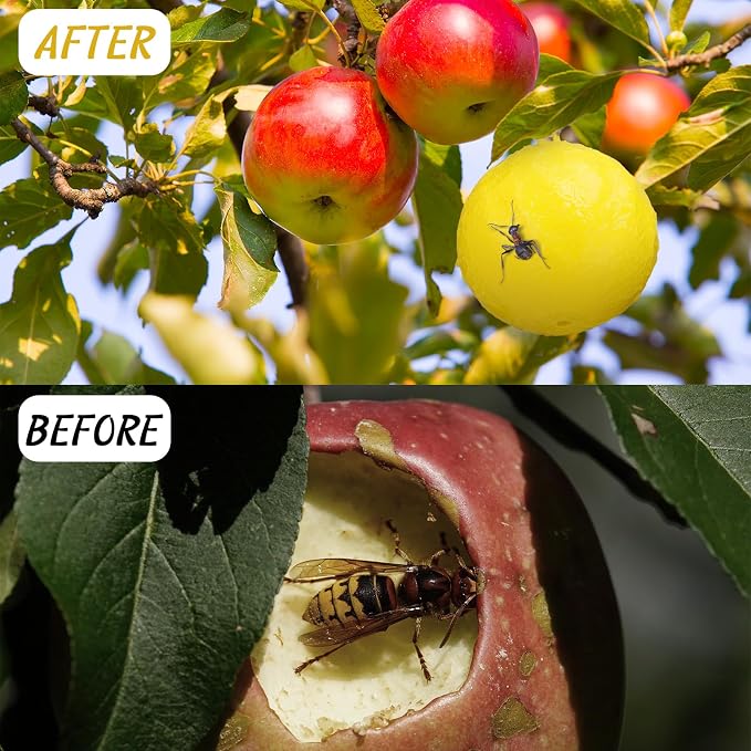 Qualirey Sticky Fruit Fly Trap Ball Adhesive Fly Catching Ball Sticky Glue Gnat Wasp Hornet Mosquito Bugs Flying Insects Traps Balls for Indoor Outdoor Kitchen Drain Garden (Yellow, Orange,10 Pcs)