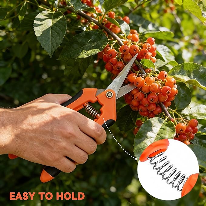 4 Pack Garden Pruning Shears Set - Stainless Steel Blades with Comfort Grip Handles, Heavy Duty Pruning Snips, Plant Scissors for Trimming Flowers, Herbs, Bonsai - Spring-Loaded with Safety Lock