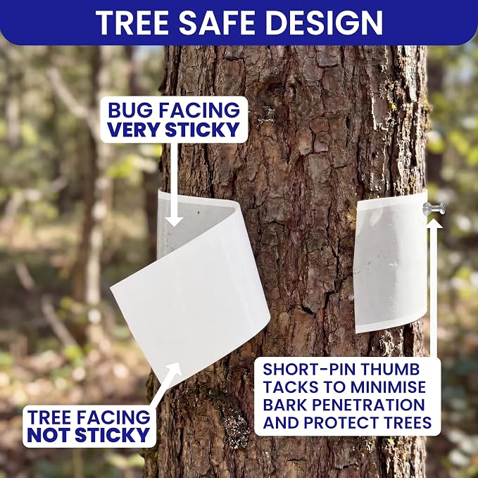 Spotted Lantern Fly Trap for Trees. 3 Sticky Fly Paper Rolls with Pins and Egg Scraper. Bug Tree Tape Wrap Ant Barrier Spotted Lanternfly Killer. Lantern Flies Tape for Trees Glue Insect Barrier