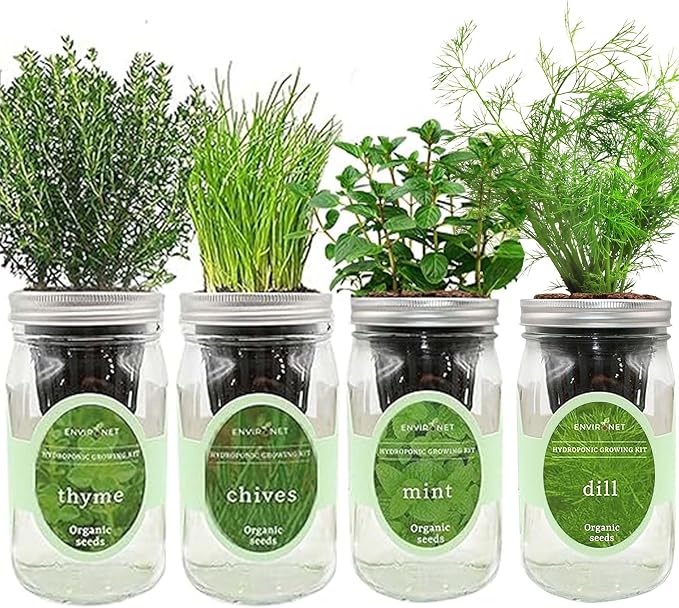 Mint, Chives, Thyme & Dill Mason Jar Herb Garden Kit, Fresh Savory Herb Collection, 4 Pack Indoor Hydroponic Growing Kit