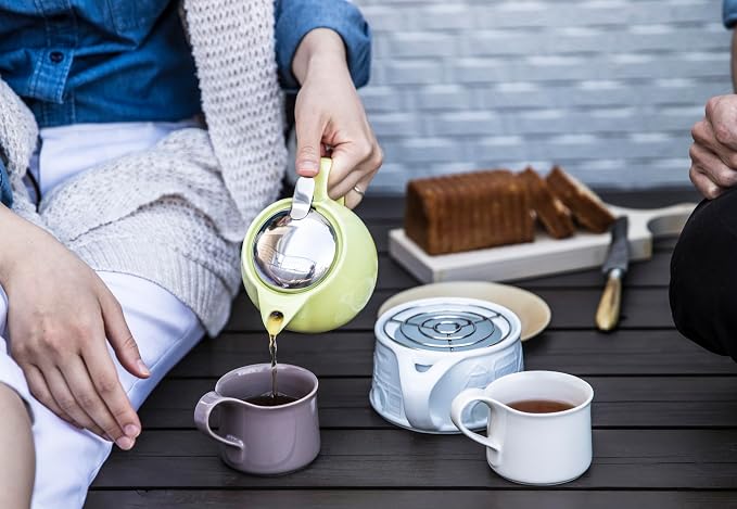 Zero Japan Bee House Round Teapot For One, 15 Oz - Ceramic Tea Pot with Stainless Steel Lid and Infuser, Smooth-Pour Spout, Diswasher and Microwave Safe Tea Pots (Carrot)