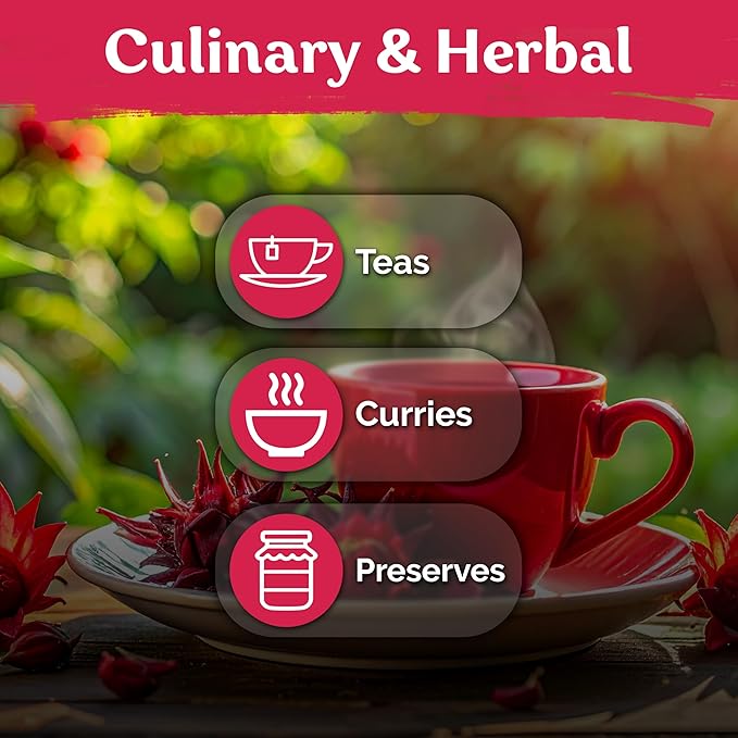 KVITER 150 Roselle Seeds for Planting (Hibiscus Sabdariffa) – Jamaican Sorrel/Cranberry Hibisco Seeds/Gongura Seed/Sour Leaf Seed – Perfect for Hibiscus Tea, Outdoor & Indoor Garden