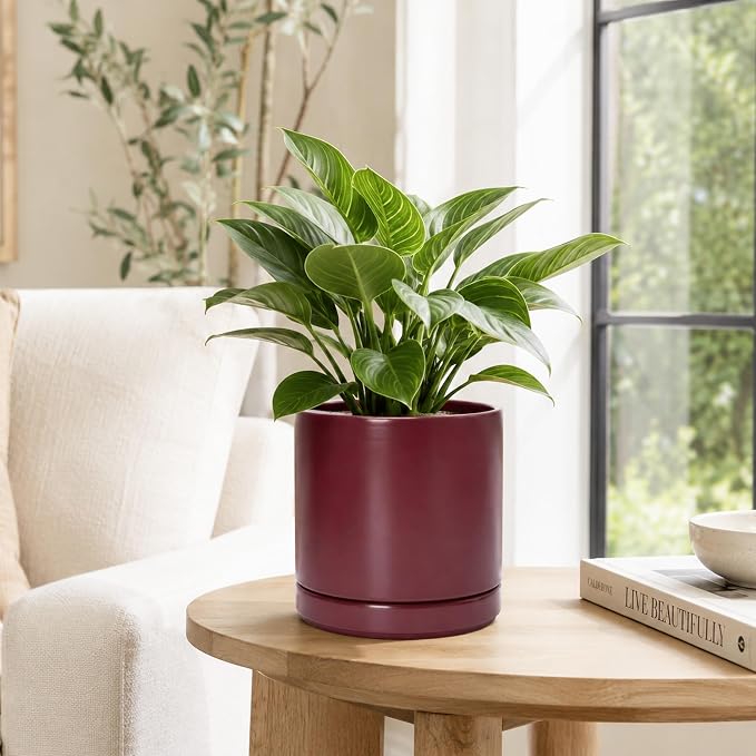 D'vine Dev 8 Inch Ceramic Planter Pot with Drainage Hole and Saucer, Indoor Cylinder Round Planter Pot, Cordovan, 94-O-D-4