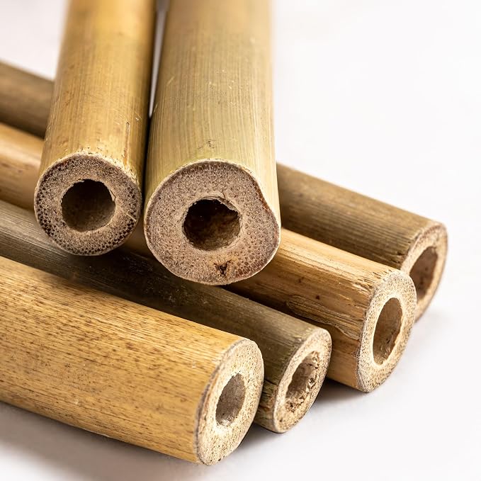 Rivajam 125 Bamboo Sticks for Crafts Supplies | Bamboo Craft Sticks & Mason Bee Tubes for Mason Bee House | Bamboo Reed Mason Bee Straws for Solitary Bee Box, Bee Hotel & Pollinator Gardens
