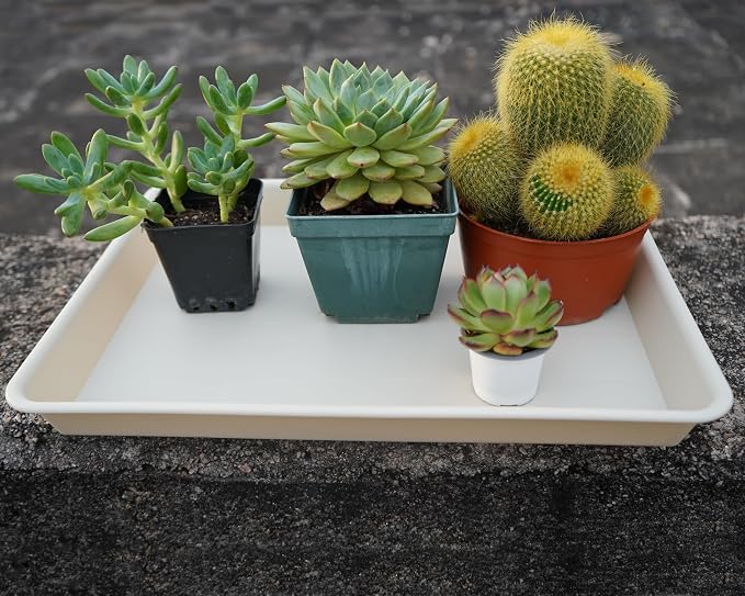 VUWEZ 2 Pack Plant Growing Nursery 1020 Trays, Plant Saucer Tray, Heavy Sturdy Seed Starting Trays, Plant Starter Trays for Indoors No Holes, Seed Starter Growing Tray (22"x11.2", Beige)