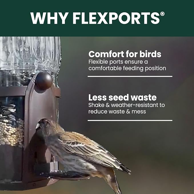 Perky-Pet Squirrel-Be-Gone Max Bird Feeder with (4) Flexport Feeding Stations - Squirrel-Proof Metal Hanging Feeder for Outdoors, Weight-Activated Ladder-Style Perches, 4lb Seed Capacity, 334-1SR