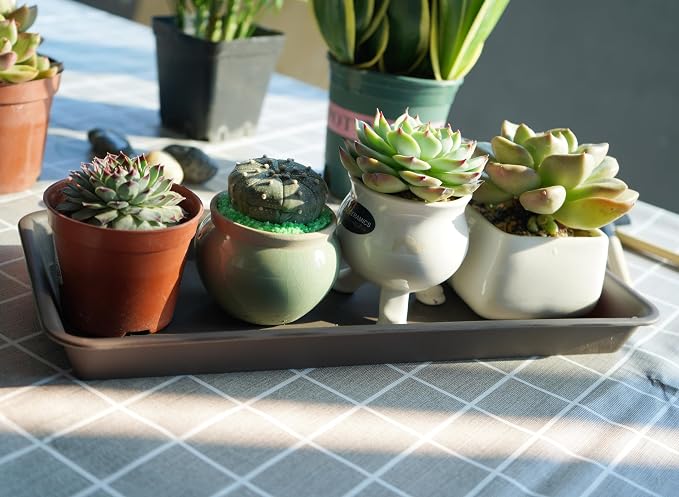 VUWEZ 2 Pack Plastic Plant Tray Saucer, Rectangular, Indoors Outdoor, Water Drip Tray for Flower Pot Planter, Windowsill (6 X 11 Inch, Brown)