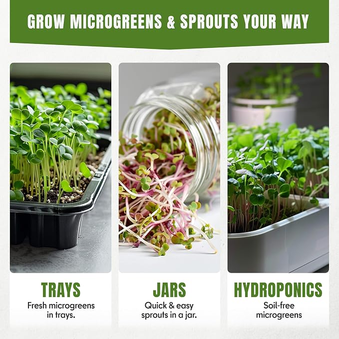 SproutMe Microgreens & Sprouting Seeds Variety Pack – 10 Varieties for Indoor & Outdoor Growing, Non-GMO Heirloom – Arugula, Beet, Basil, Broccoli, Cabbage, Kale, Mustard, Pea, Radish, Spinach