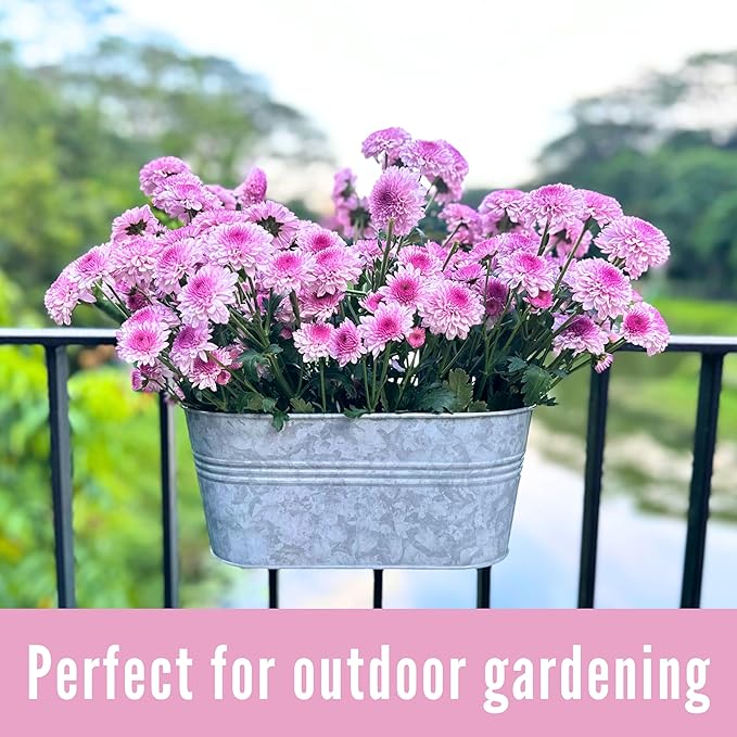 LaLaGreen Outdoor Plants Rail Planter (16 Inch, 2 Pack) Silver Metal Iron Hanging Flower Pot Deck Railings Fence Bucket Modern Boho Style Wall Mount Window Box Plant Wall Hanger Hooks Porch Home Decor