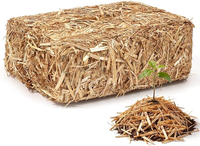 PJT Organic Garden Straw,Biodegradable Straw Mulch for Vegetable Garden,Hay for Grass Seed Covering,Mulch for Landscaping Seed Covering,Thoroughly Cleaned and Weed Seed Free(1 cu ft,8 lbs)