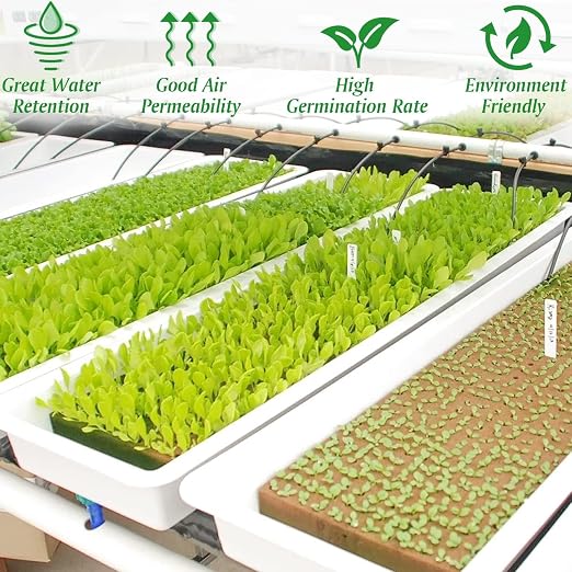 Halatool 1.2 Inch Rockwool Cubes Garden Hydroponic Pods Starter Plugs for Hydroponics Soilless Cultivation Seedling Starting Cuttings Clone & Plants Propagation (2 Sheets, 72 Plugs in Total)