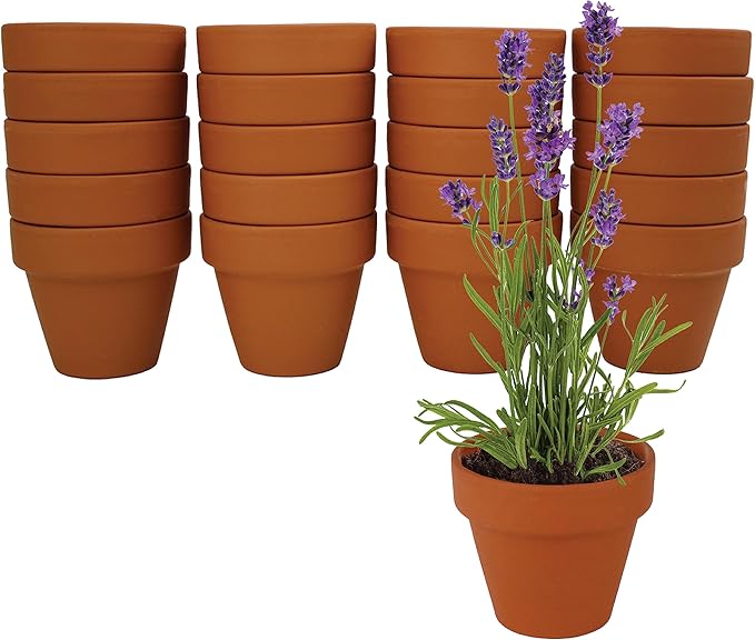 BUZZY Seeds Mini Terracotta Grow Kit, Assorted 20-Pack - Mini Terracotta Pot Grow Set - 100% Grow Guarantee