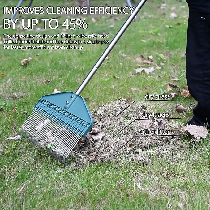 YEELOR Thatch Rake with 66 Inch Adjustable Handle, 17 Inch Wide Durable Dethatcher Rake, Ideal for Garden, Yard and Lawn, Used for Removing Thatch, Pine Needles, Burrs and Acorns