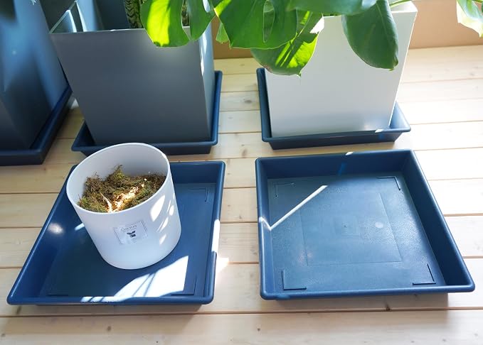 NIMYAU Square Plant Saucer 6 Inch 5 Pack6 8 12 14 16 18 20 Plant Trays for Pots, Flower Pot No Holes Plant Drip Trays,Heavy Duty Plastic Plant Saucers for Indoors Outdoors