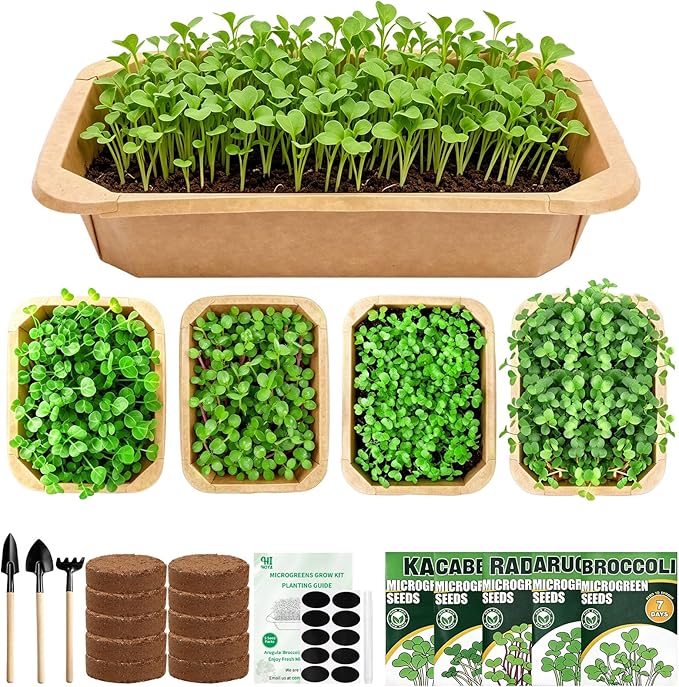 Microgreens Growing Kit Indoor Garden - Complete Micro Greens Growing Kits with 5 Seed Packs - Grow Broccoli, Arugula, Kale, Cabbage, Radish with Waterproof Trays - Grow Microgreens Indoor for Health