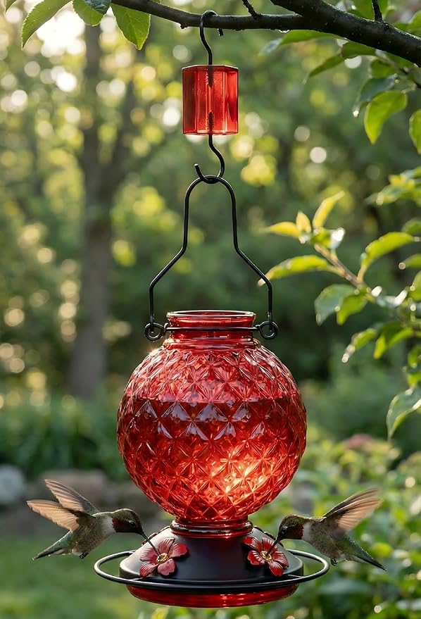 25 OZ Glass Hummingbird Feeder for Outdoors, Leak Proof Hummingbird Feeder with Ant Moat, 4 Bee Resistant Feeding Ports, Easy Clean Wide Mouth Design, 360° Perch, Hanging Nectar Feeder, Red