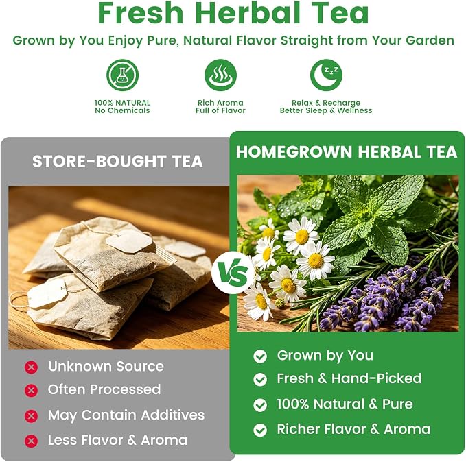 35 Medicinal & Tea Herb Seeds Variety Pack – 16,400+ Non-GMO Heirloom Seeds for Indoor & Outdoor Gardening: Basil, Chamomile, Rosemary, Mint, Oregano, Lavender & More