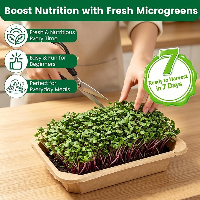 Microgreens Growing Kit Indoor Garden - Complete Micro Greens Growing Kits with 5 Seed Packs - Grow Broccoli, Arugula, Kale, Cabbage, Radish with Waterproof Trays - Grow Microgreens Indoor for Health