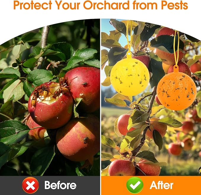 Original Fruit Fly Trap Ball with Light, 6pcs Hanging Fungus Gnat Killer Catcher, Adhesive Sticky Glue Catching Ball Fly Gnat Wasp Hornet Bugs Flying Insects Trap Ball for Indoor Outdoor Plant